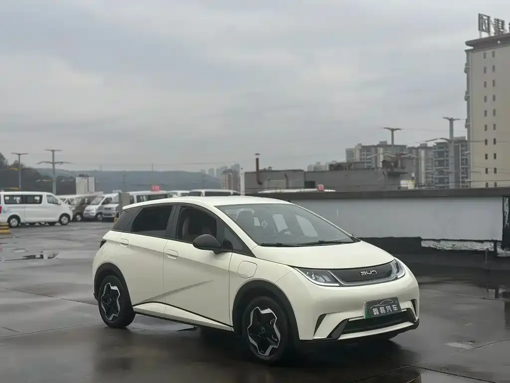 BYD Dolphin 2025 из CN, фото 8