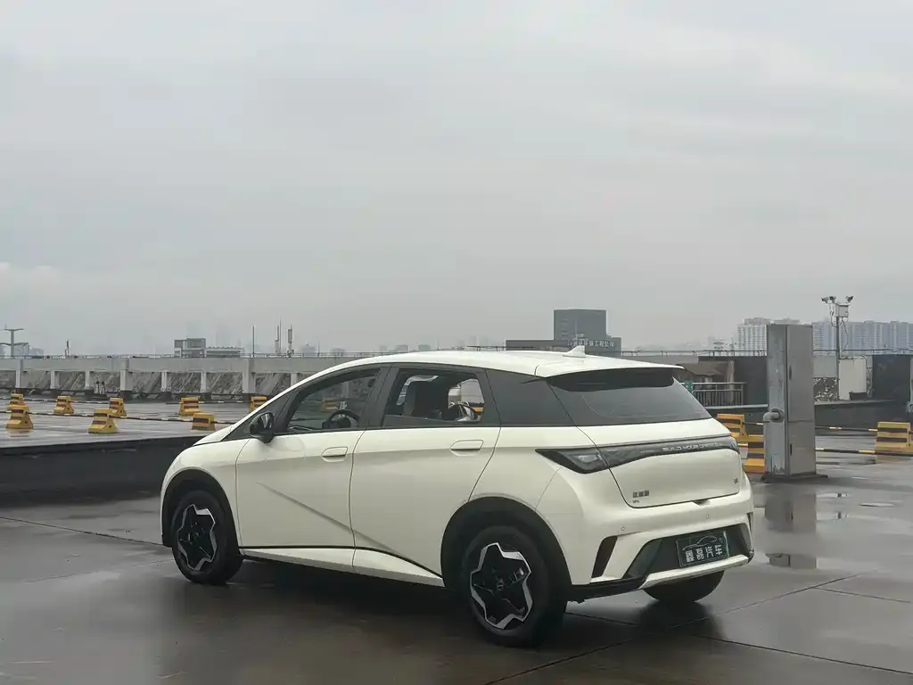 BYD Dolphin 2025 из CN, фото 2