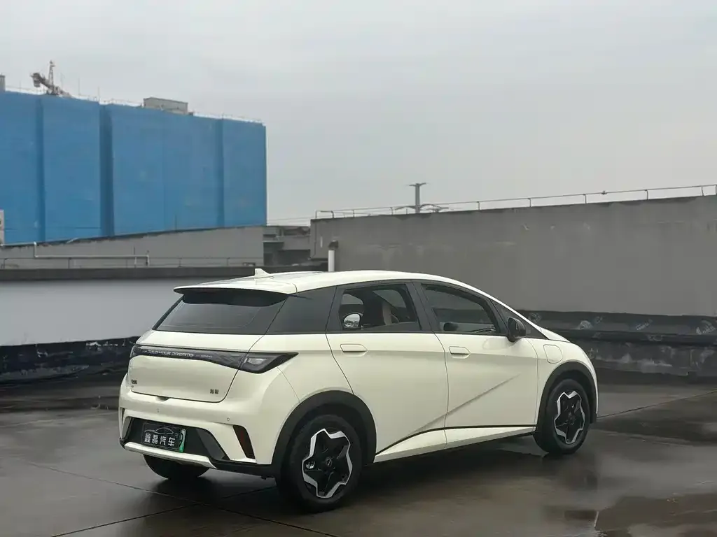 BYD Dolphin 2025 из CN, фото 10