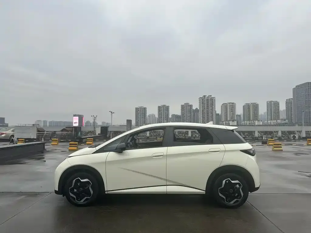 BYD Dolphin 2025 из CN, фото 7