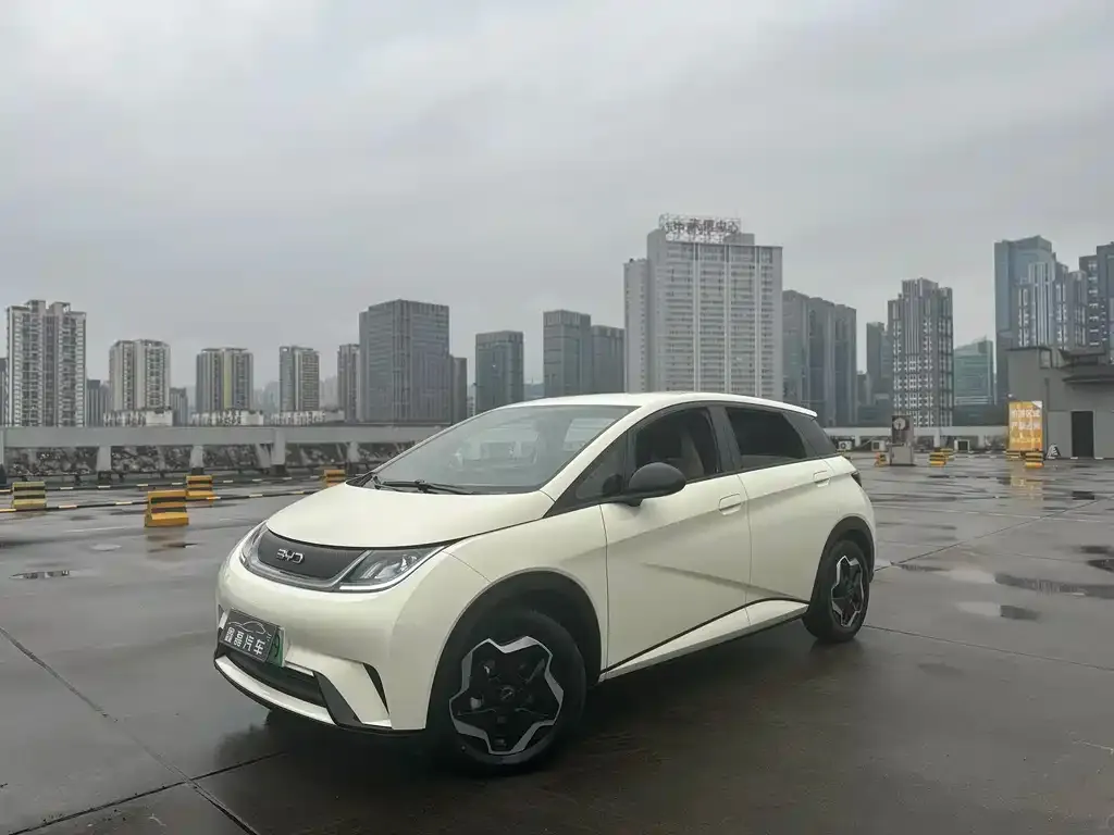 BYD Dolphin 2025 из CN, фото 5