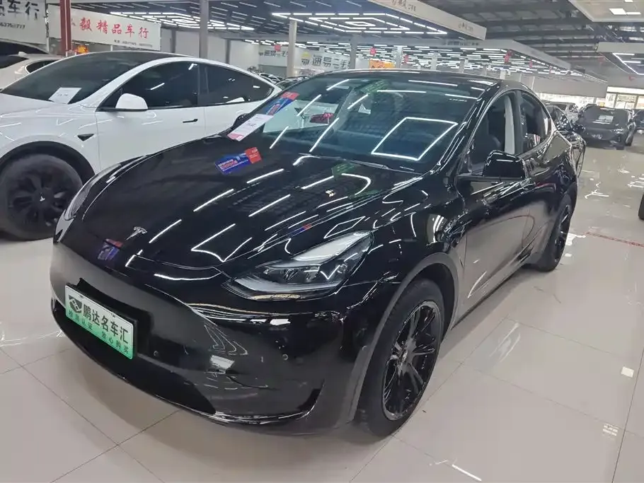Tesla Model Y — фото 1