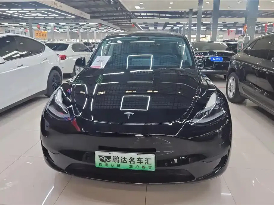 Tesla Model Y — фото 9