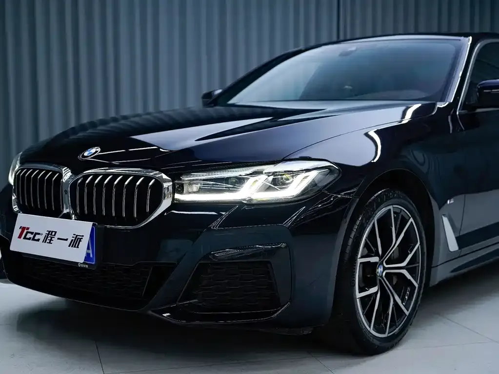 BMW 5 Series 2023 из CN, фото 6
