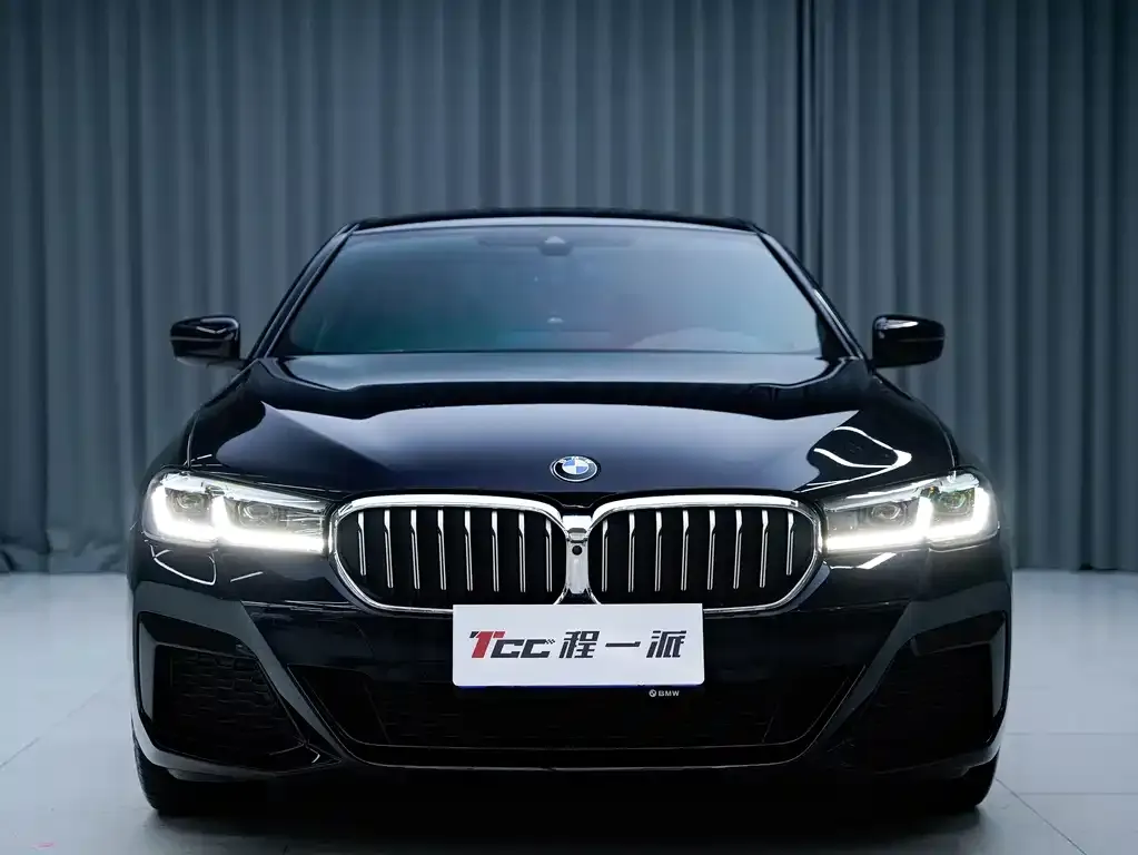 BMW 5 Series 2023 из CN, фото 4