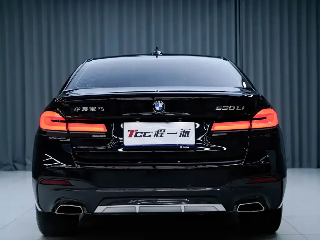 BMW 5 Series 2023 из CN, фото 5