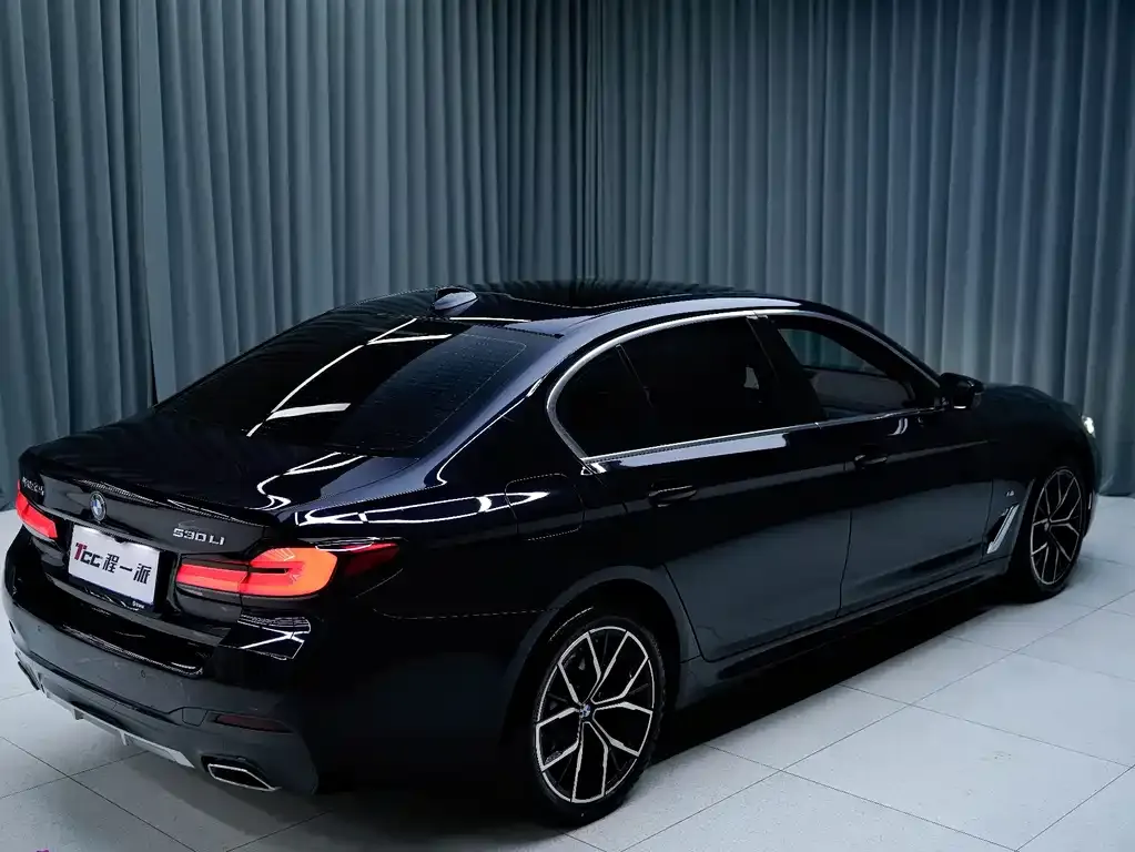 BMW 5 Series 2023 из CN, фото 8