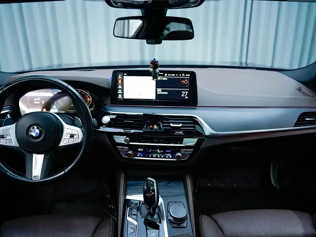 BMW 5 Series 2023 из CN, фото 10