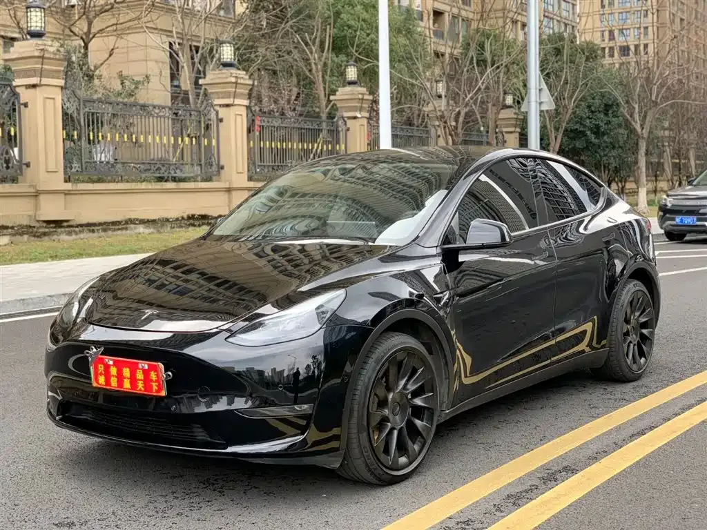 Tesla Model Y — фото 1