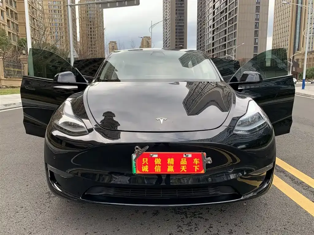 Tesla Model Y — фото 8