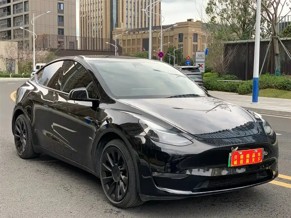 Tesla Model Y — фото 7