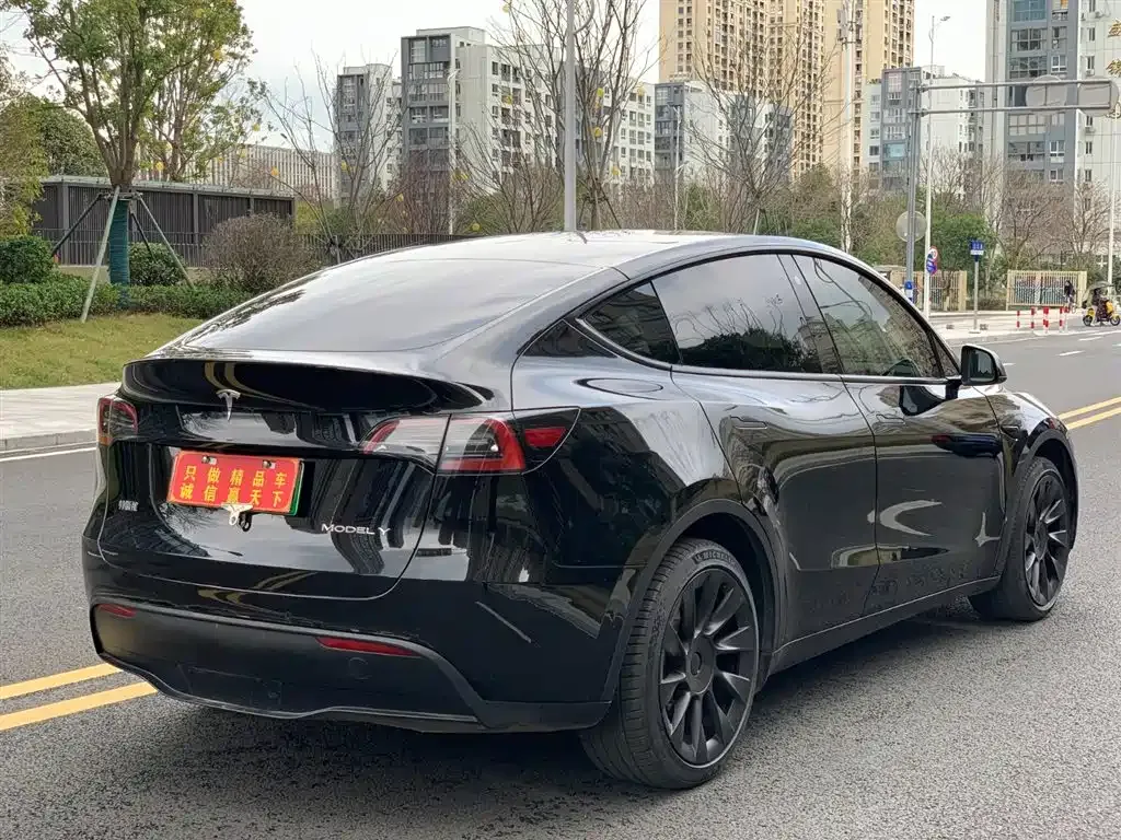Tesla Model Y — фото 10