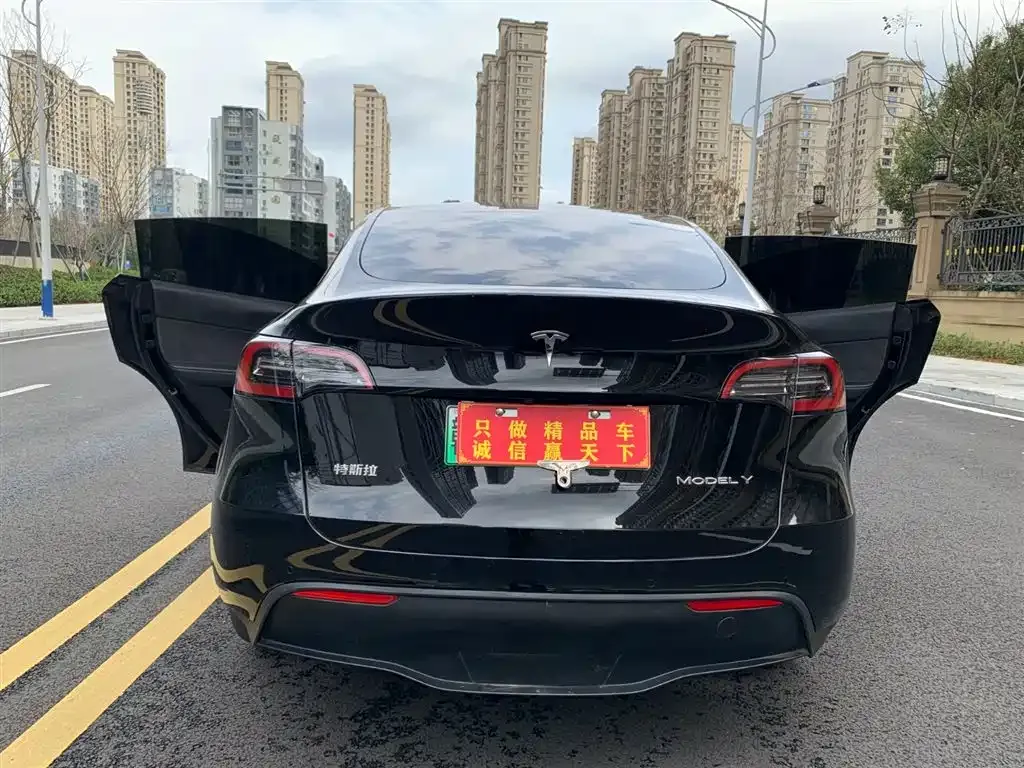 Tesla Model Y — фото 3