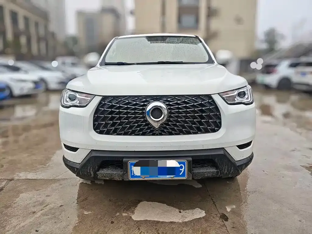 Great Wall Pao 2023 из CN, фото 7