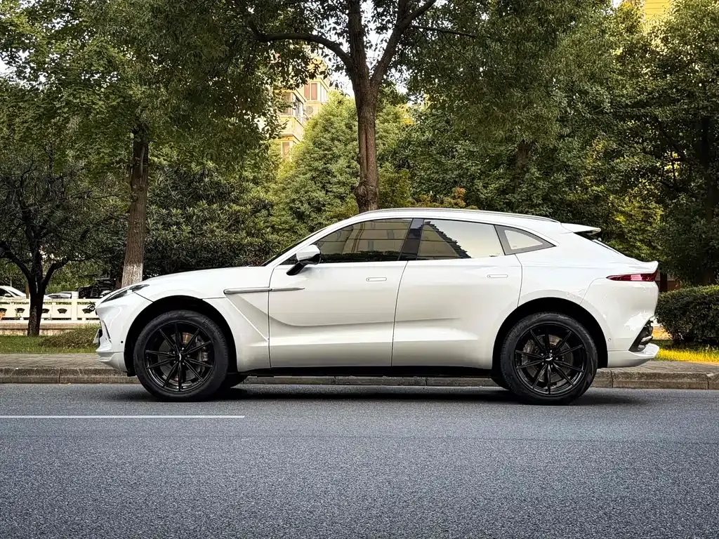 Aston Martin DBX — фото 6