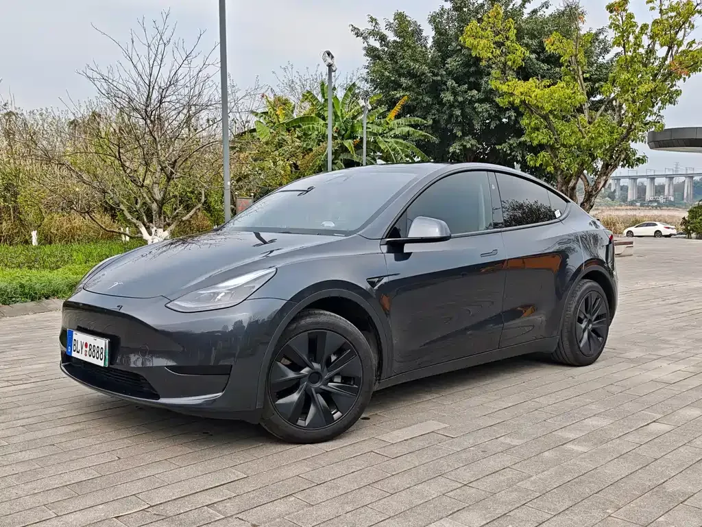 Tesla Model Y 2025 из CN, фото 1