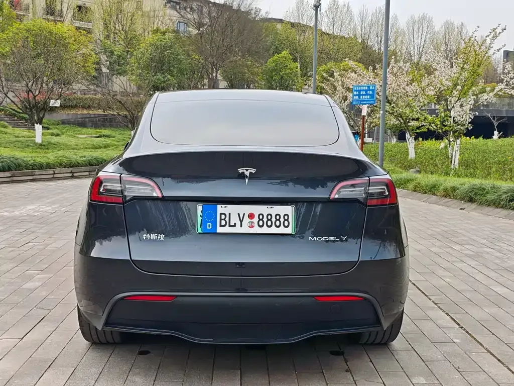 Tesla Model Y 2025 из CN, фото 10