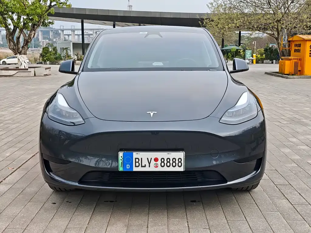 Tesla Model Y 2025 из CN, фото 7