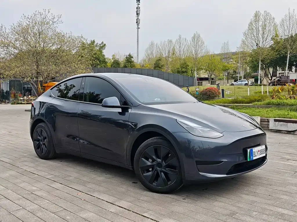 Tesla Model Y 2025 из CN, фото 6