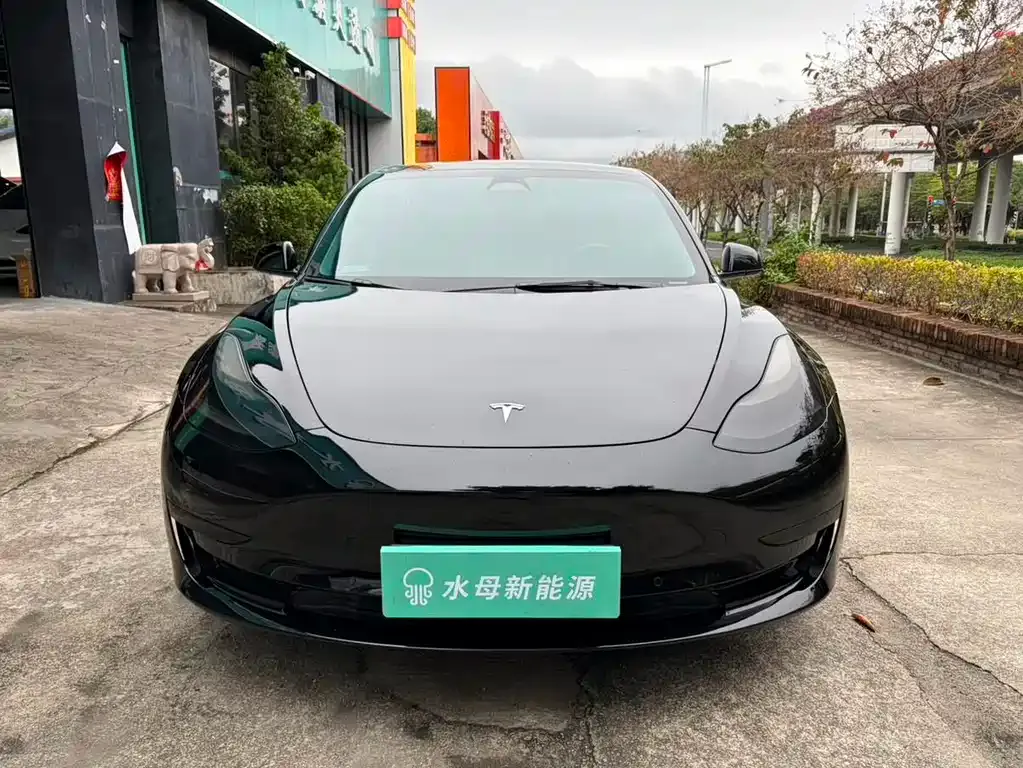 Tesla Model 3 — фото 8
