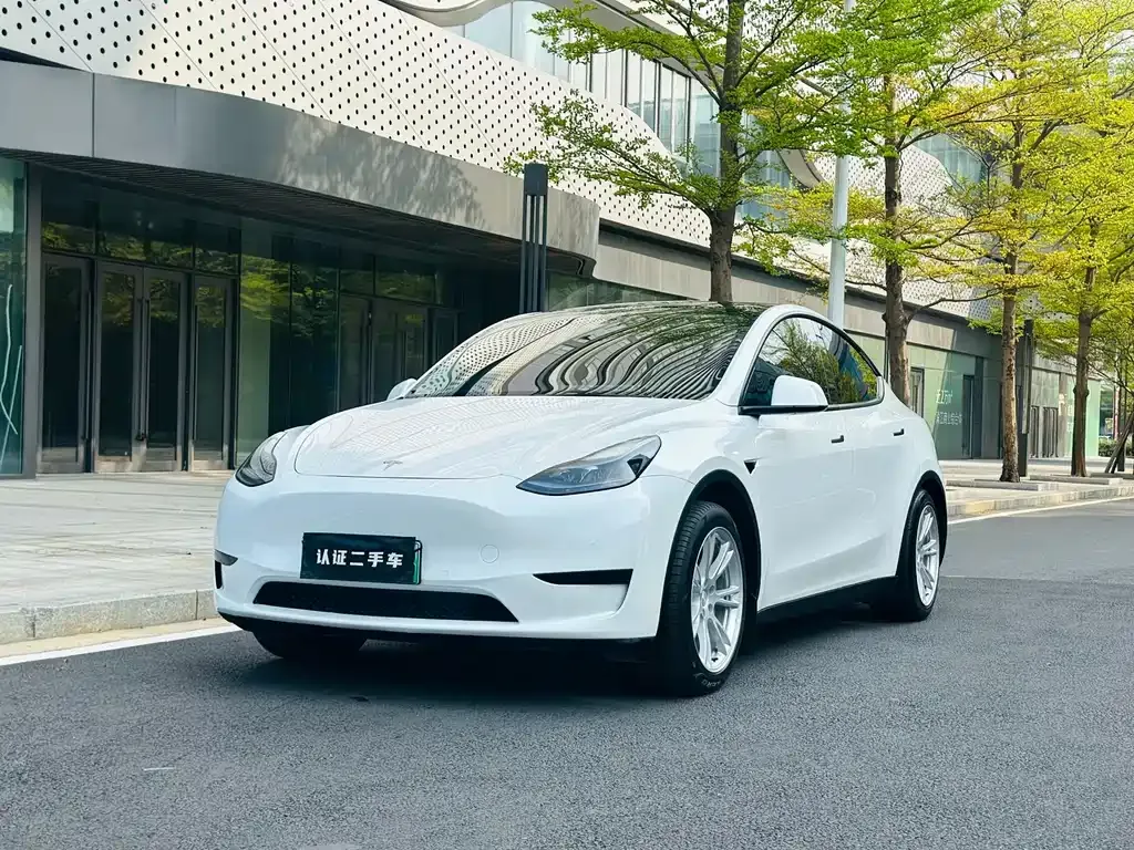 Tesla Model Y — фото 1