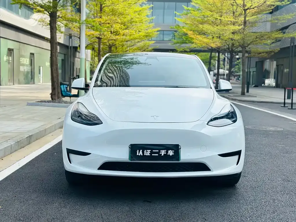 Tesla Model Y — фото 2