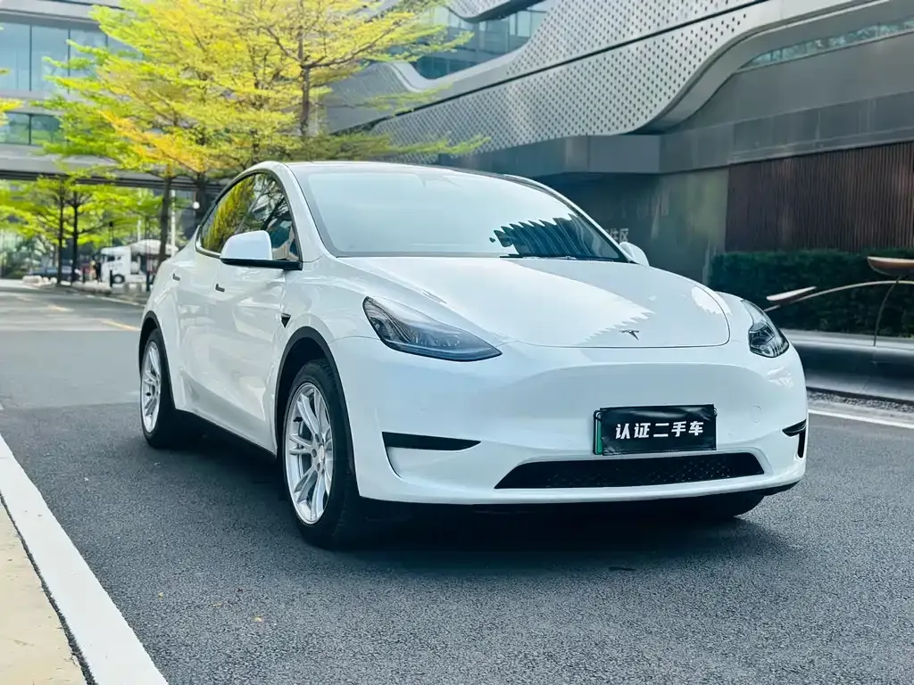 Tesla Model Y — фото 10