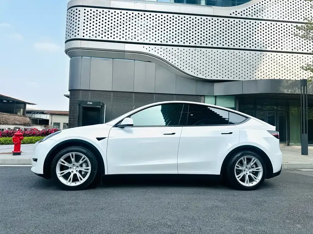 Tesla Model Y — фото 9