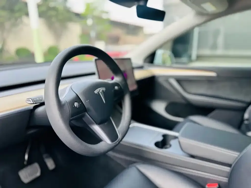 Tesla Model Y — фото 3