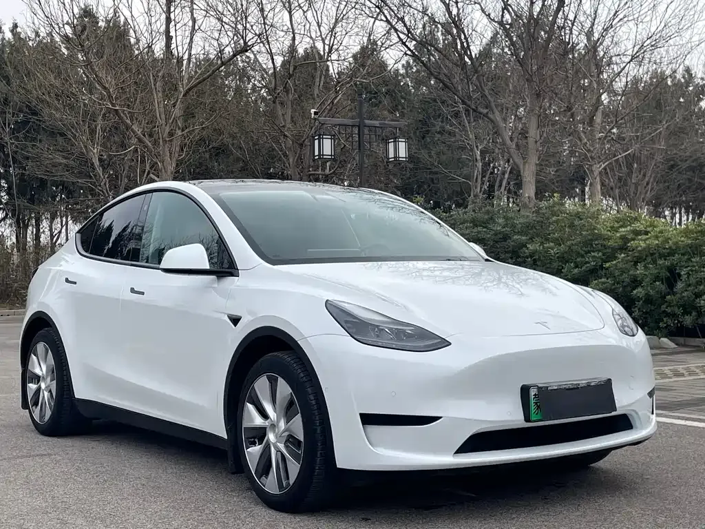 Tesla Model Y — фото 10