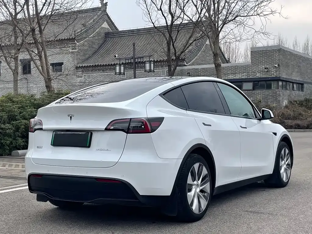 Tesla Model Y — фото 9