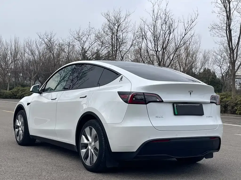 Tesla Model Y — фото 8