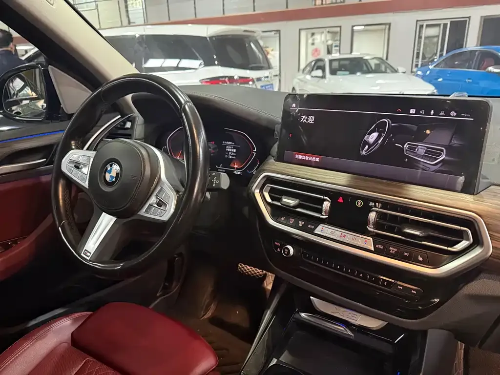 BMW X3 2023 из CN, фото 10