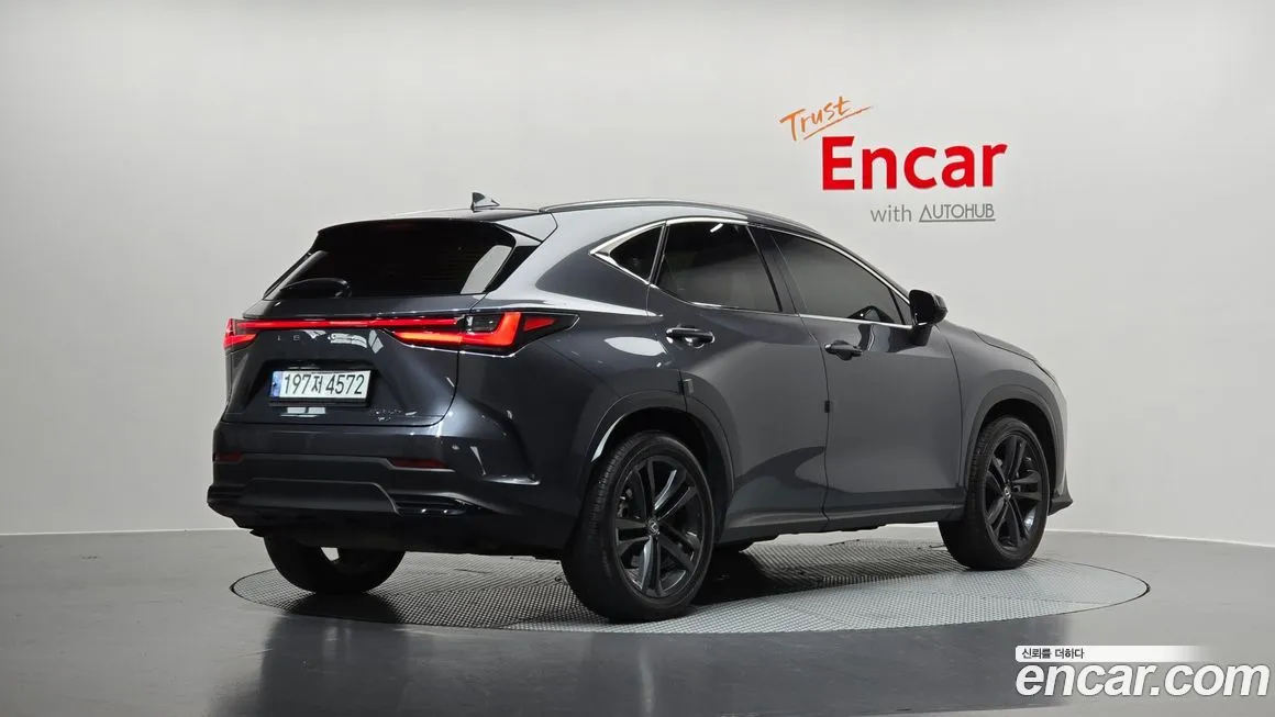 Lexus NX 2023 из KR, фото 6