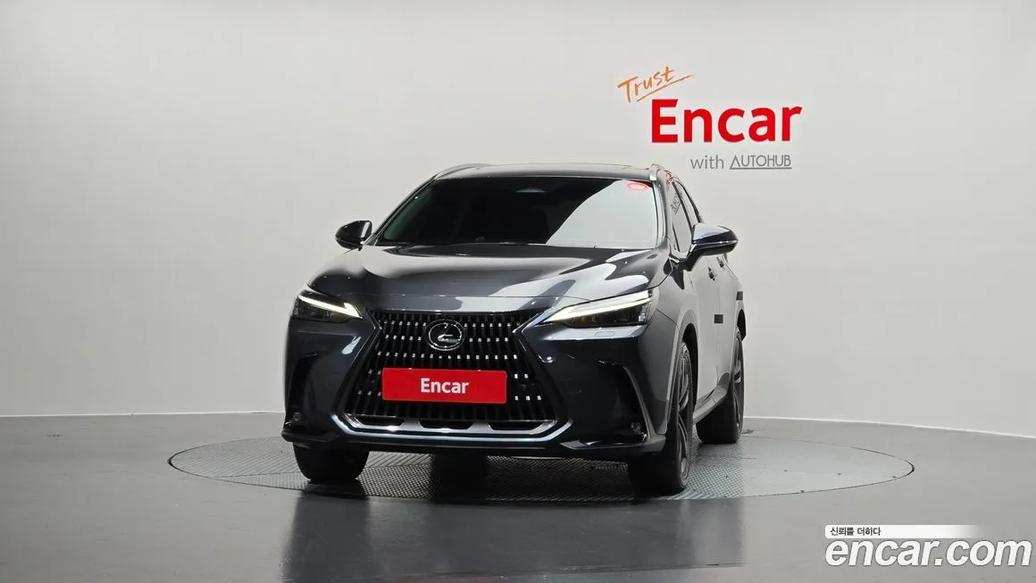Lexus NX 2023 из KR, фото 7