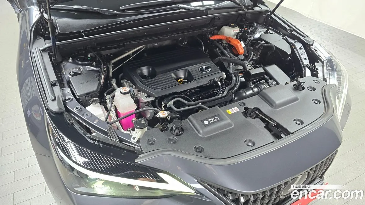 Lexus NX 2023 из KR, фото 9