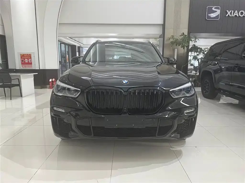 BMW X5 (Import) 2022 из CN, фото 8