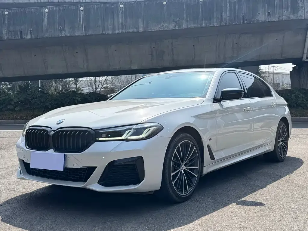 BMW 5 Series 2022 из CN, фото 1