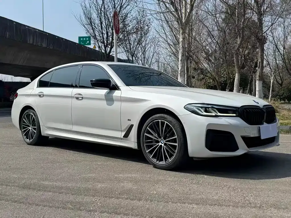 BMW 5 Series 2022 из CN, фото 6