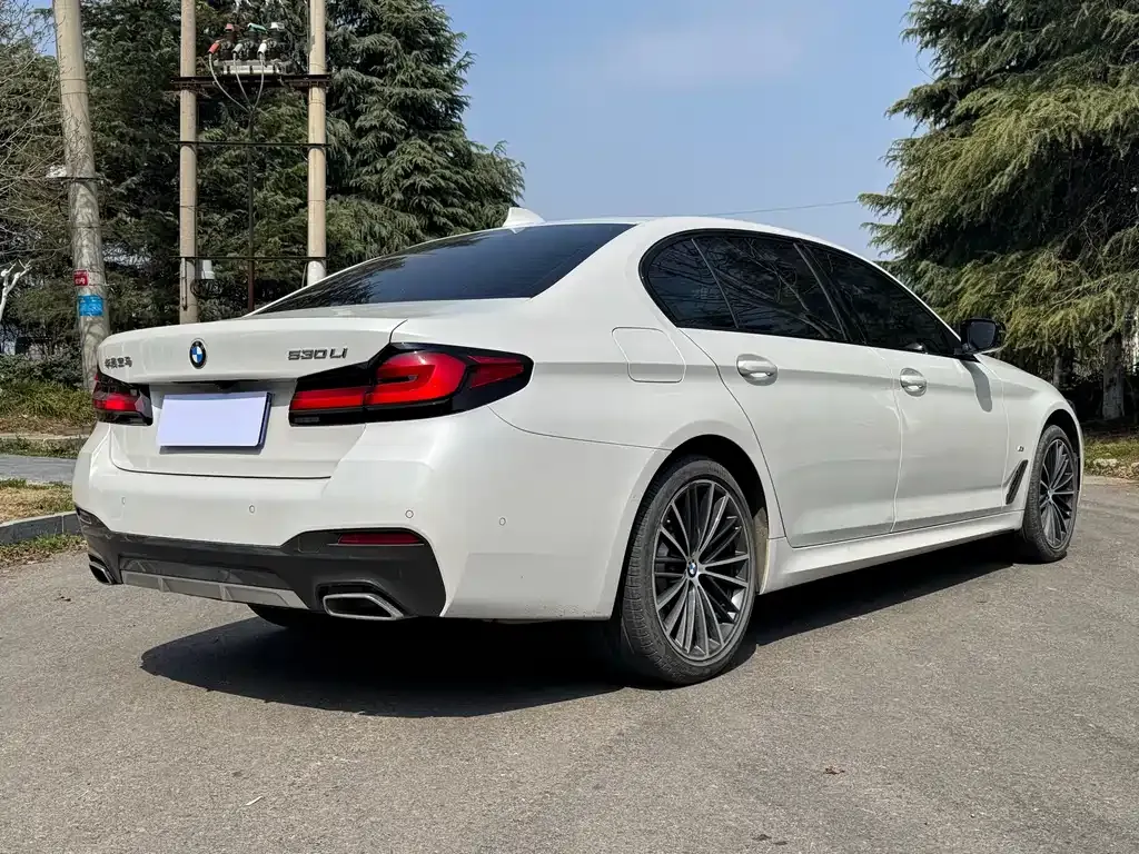 BMW 5 Series 2022 из CN, фото 8