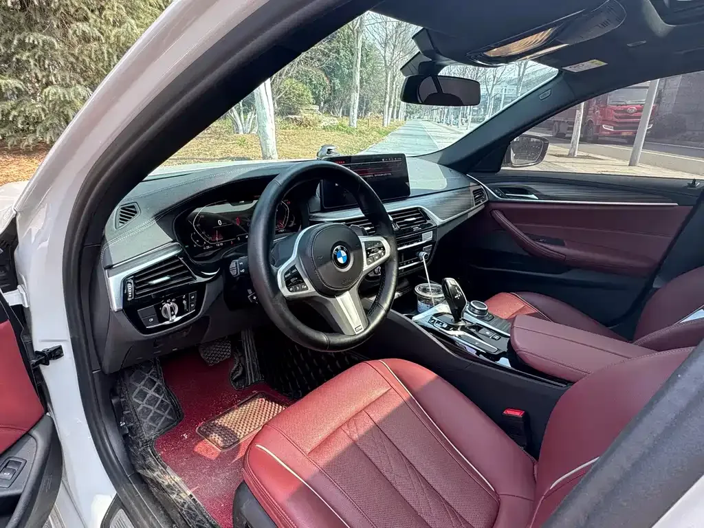 BMW 5 Series 2022 из CN, фото 7