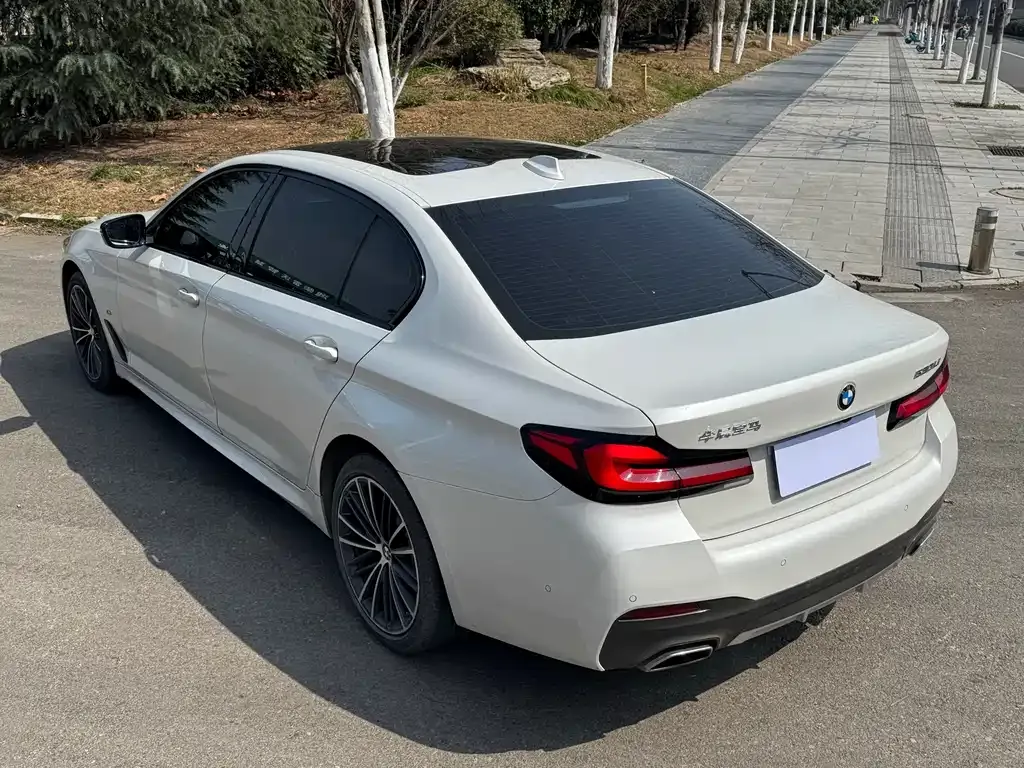 BMW 5 Series 2022 из CN, фото 9