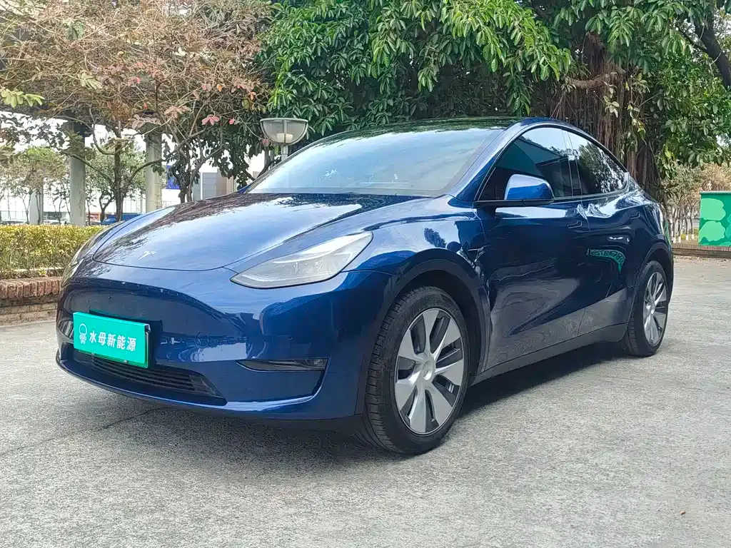 Tesla Model Y — фото 1