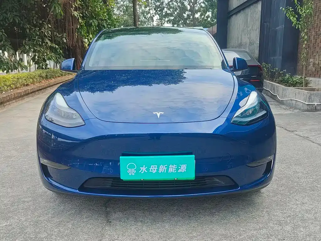 Tesla Model Y — фото 6