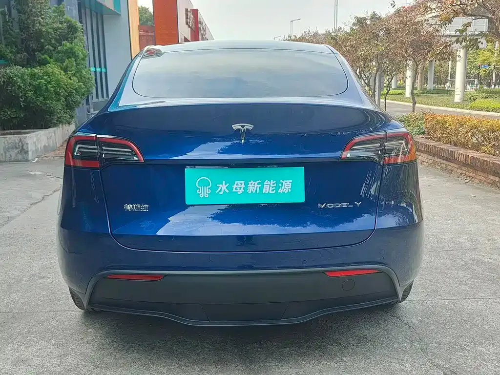 Tesla Model Y — фото 5