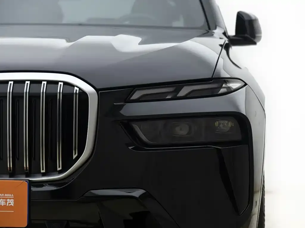 BMW X7 — фото 4