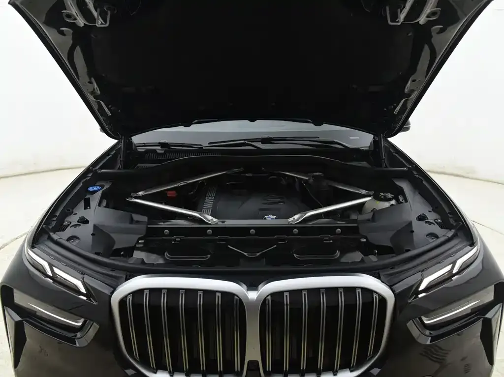 BMW X7 — фото 10