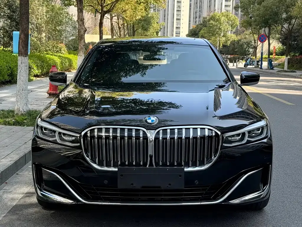 BMW 7 Series 2021 из CN, фото 6
