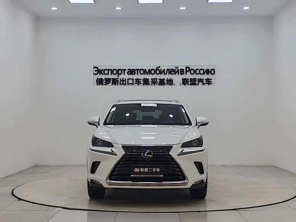 Lexus NX 2021 из CN, фото 6