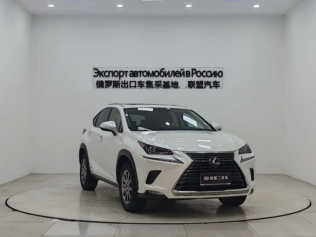 Lexus NX 2021 из CN, фото 4